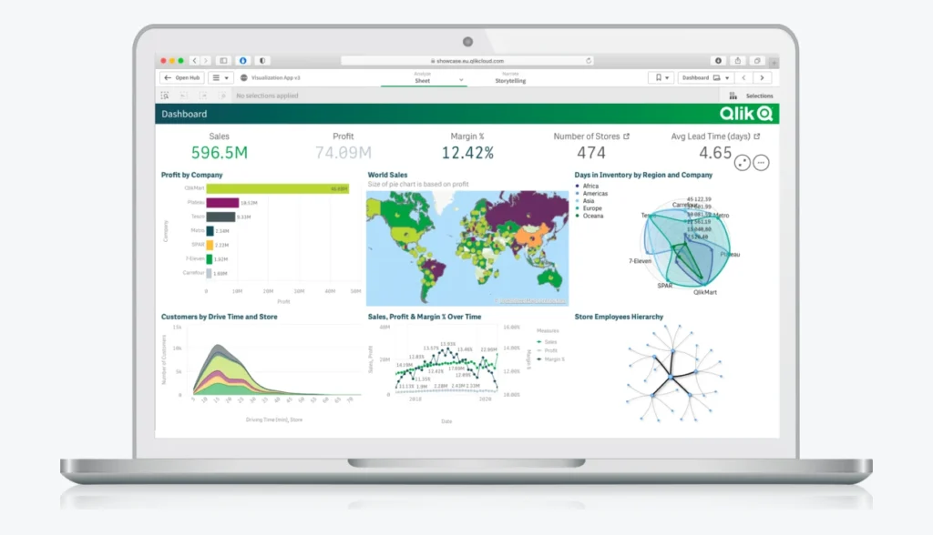 Qlik Sense Data Visualization