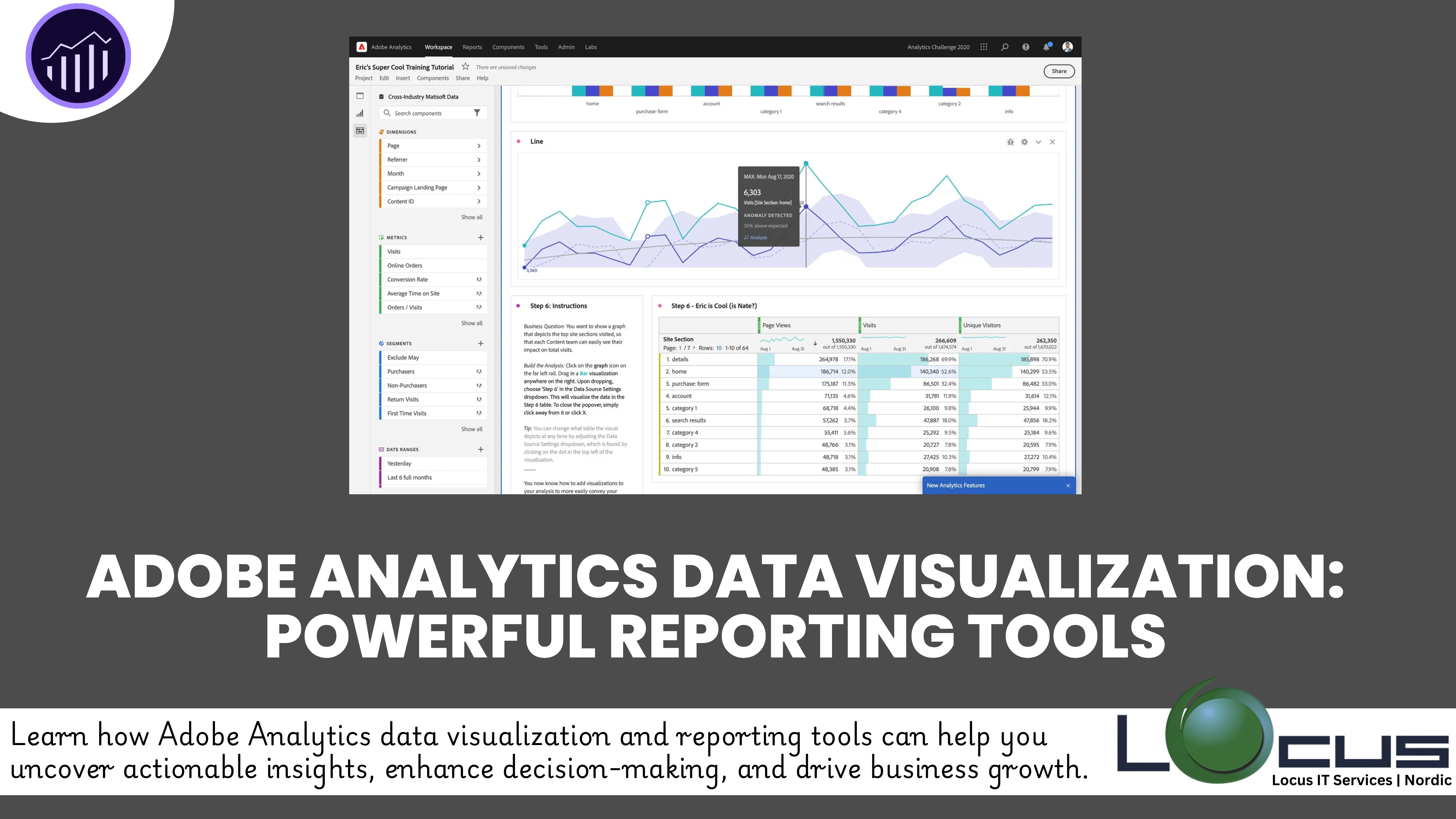 Adobe Analytics Data Visualization